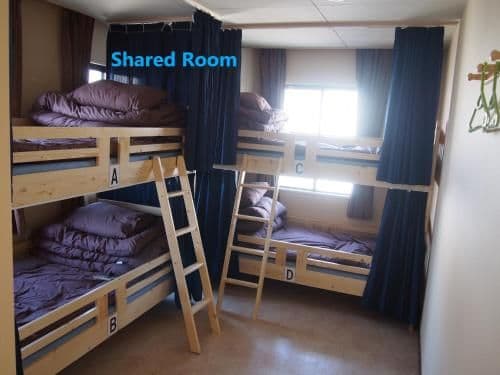 Bunk Bed in Mixed Dormitory Room