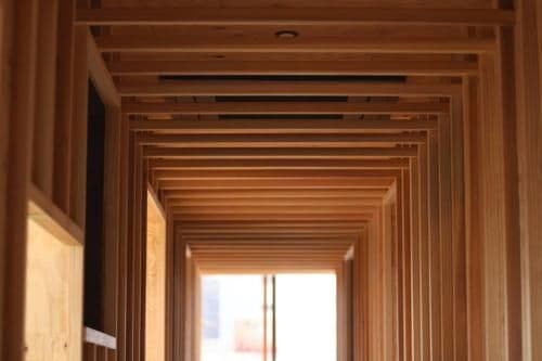 Bunk Bed in Mixed Dormitory Room