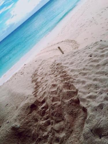 Villa - Beach Front