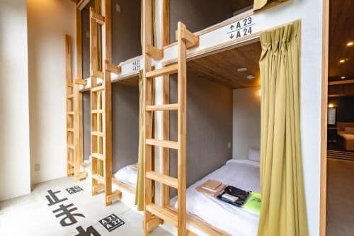 Bunk Bed in Mixed Dormitory Room
