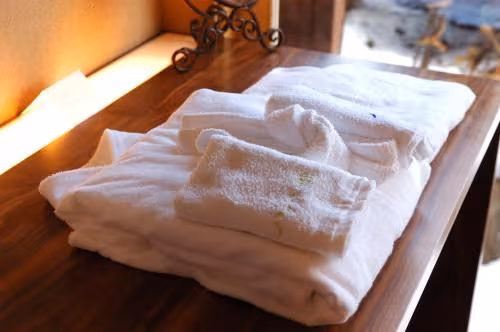 Premium Suite with Tatami Area