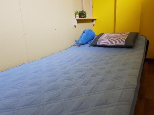 Single Bed in Dormitory Room