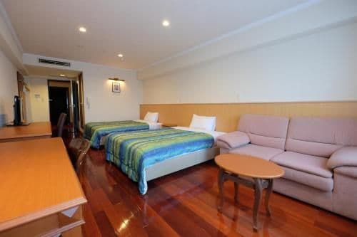 Standard Twin Room - Non-Smoking