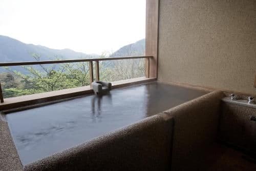 Twin Room with Tatami Area with Mountain View