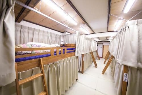 Bunk Bed in Mixed Dormitory Room