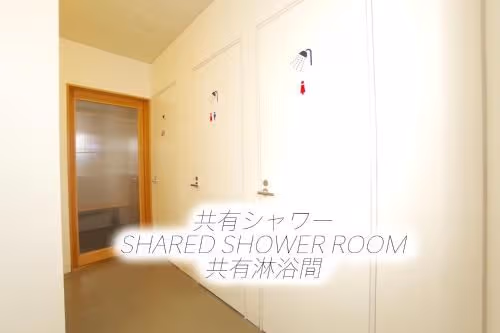 Bunk Bed in Mixed Dormitory Room