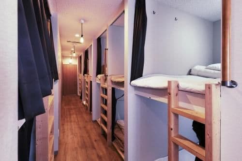 Bunk Bed in Mixed Dormitory Room