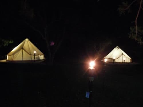 One-Bedroom Glamping Tent