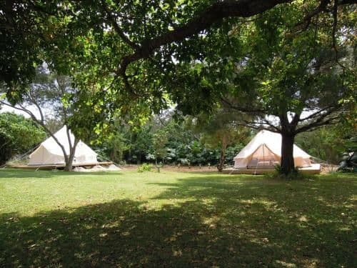 One-Bedroom Glamping Tent