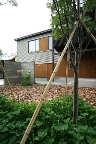 Two-Bedroom House