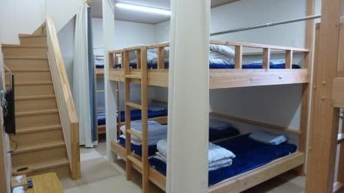 Bunk Bed in Male Dormitory Room