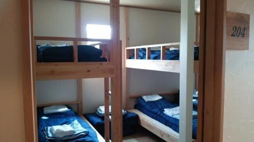 Bunk Bed in Female Dormitory Room