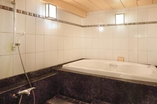 Superior Room with Tatami Area