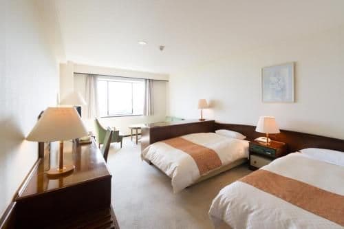 Deluxe Twin Room - Non-Smoking