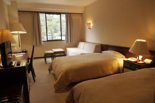 Economy Twin Room - Non-Smoking