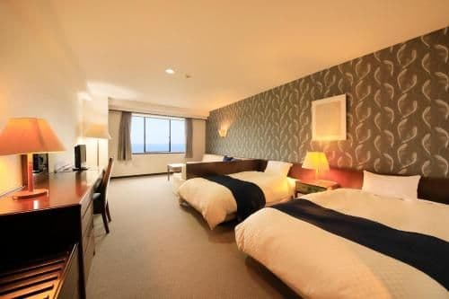 Deluxe Twin Room - Non-Smoking