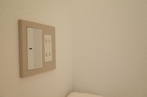 Bunk Bed in Mixed Dormitory Room