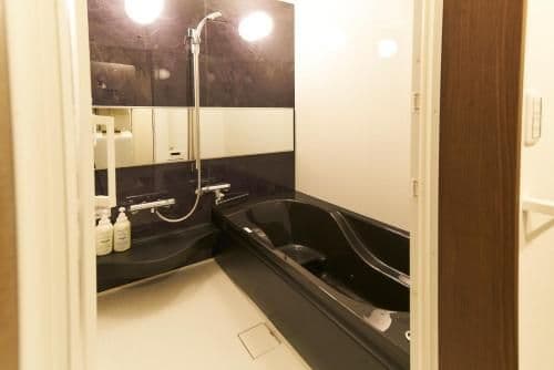 Japanese Modern Apartment