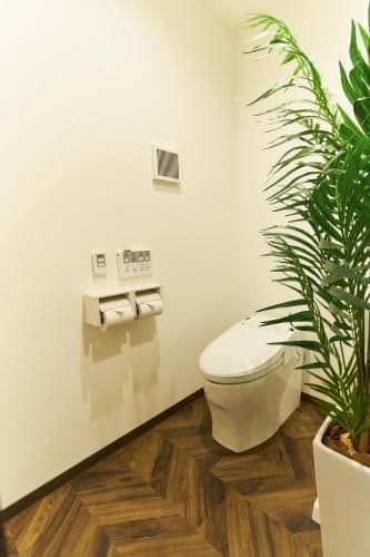 Resort Style Apartment