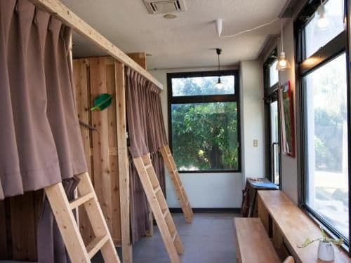Bunk Bed in Mixed Dormitory Room