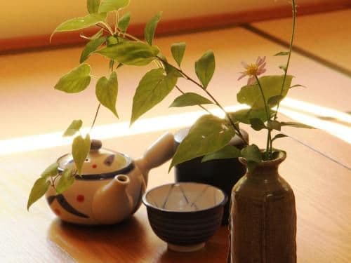 Economy Japanese-Style Room