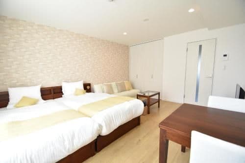 Studio with Sofa Bed