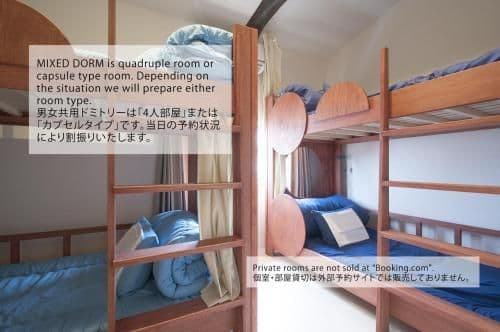 Bunk Bed in Mixed Dormitory Room