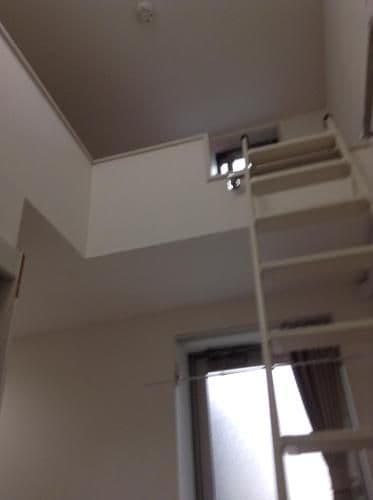 Apartment with Loft [103]