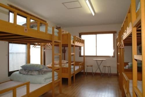 Bunk Bed in Mixed Dormitory Room