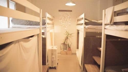 Bunk Bed in Female Dormitory Room