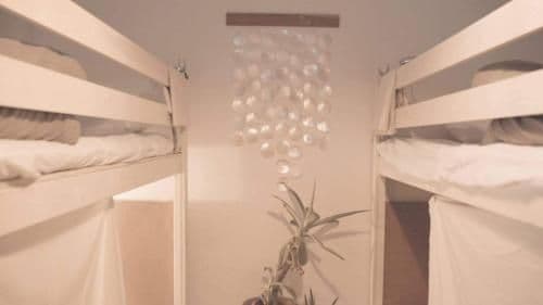 Bunk Bed in Female Dormitory Room