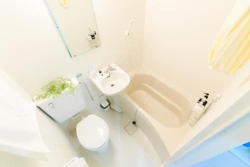 Apartment with Shower