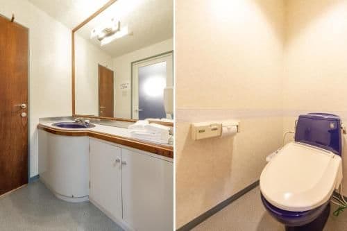 Deluxe Room - Non-Smoking