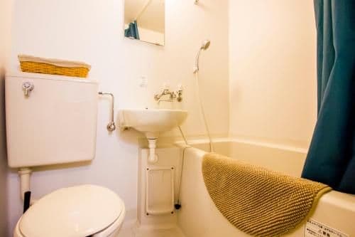 Apartment with Shower