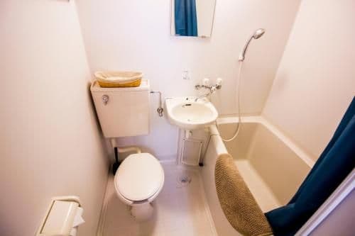 Apartment with Shower