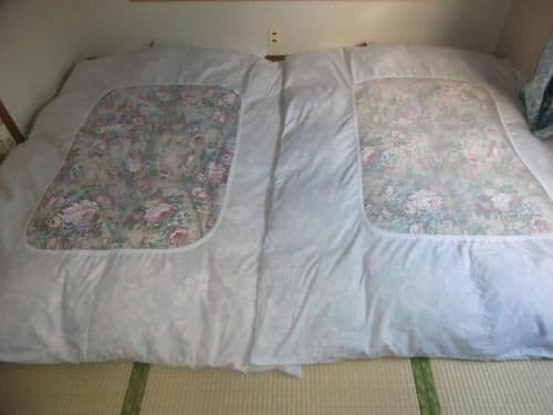 Japanese-Style Twin Room with Private Bathroom