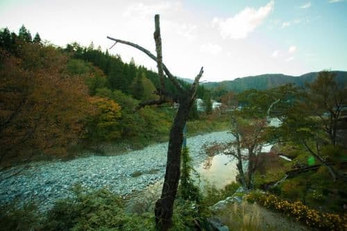 Japanese-Style Standard Twin Room with Shared Bathroom and river view