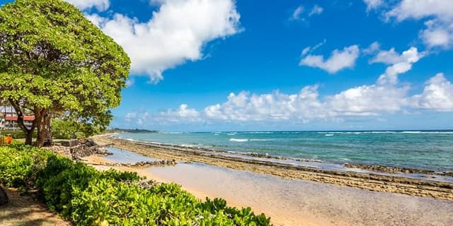 SUITE OCEAN FRONT ONE BEDROOM