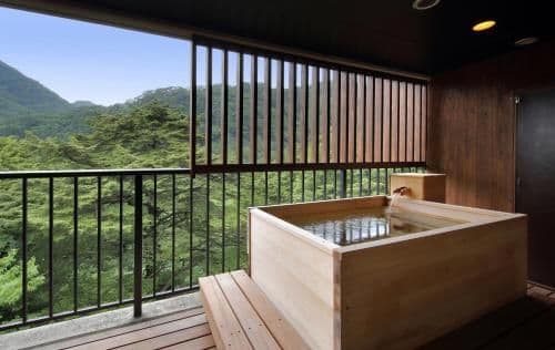 Deluxe Japanese-Style Room with Open-Air Bath