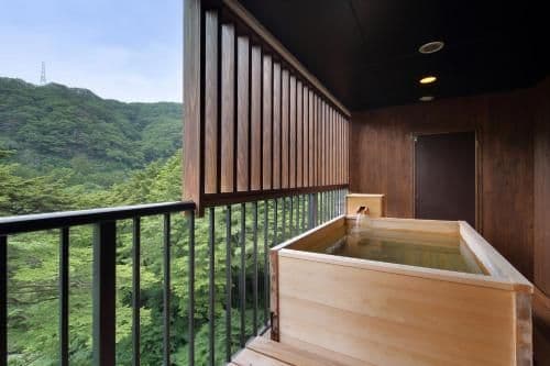 Deluxe Japanese-Style Room with Open-Air Bath