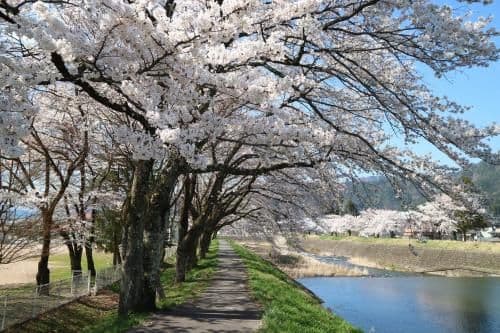 Japanese Style Townhouse - IORI KAWANAKA