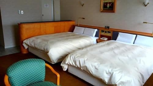 Deluxe Twin Room A