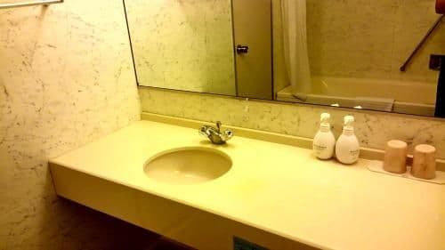 Deluxe Twin Room A
