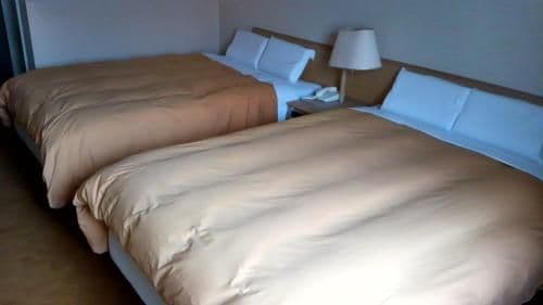 Deluxe Twin Room B