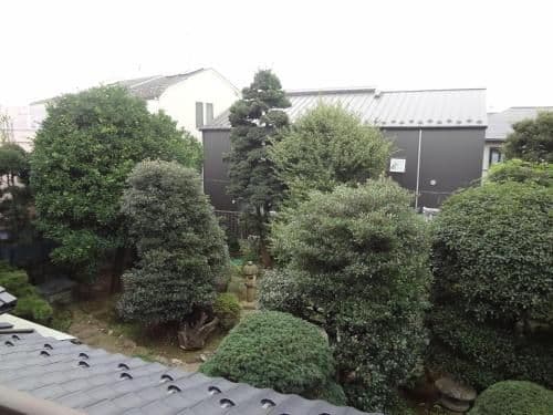 Japanese-Style Room with Garden View 202