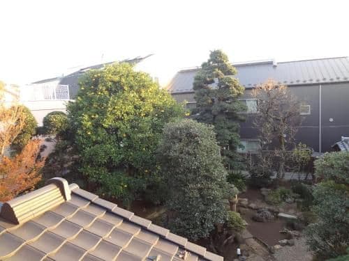 Standard Twin Room with Garden View 201