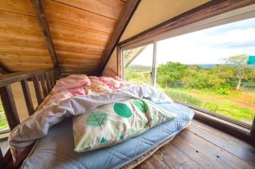 Single Bed in Dormitory Room