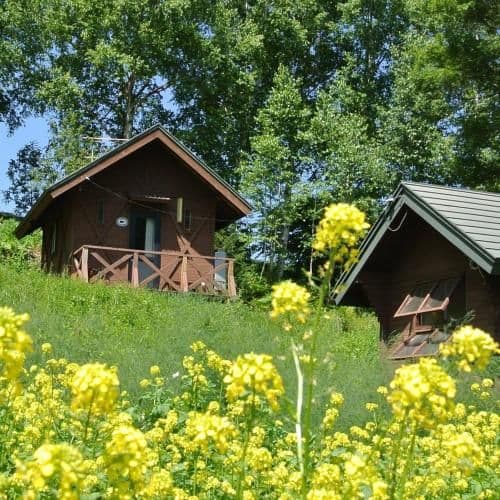 Lodge