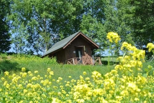 Lodge