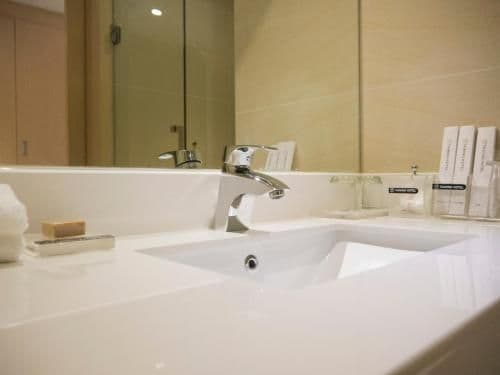 Business Double Room with Gym Access